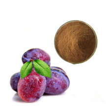 Pure Natural Fruit Powder Prune Fruit Extract 10:1